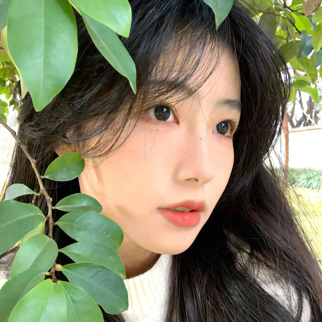 松树街的那幢房子